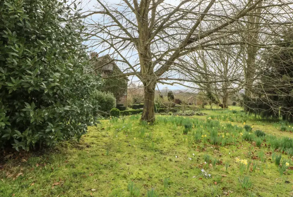 Garden at Hoath House