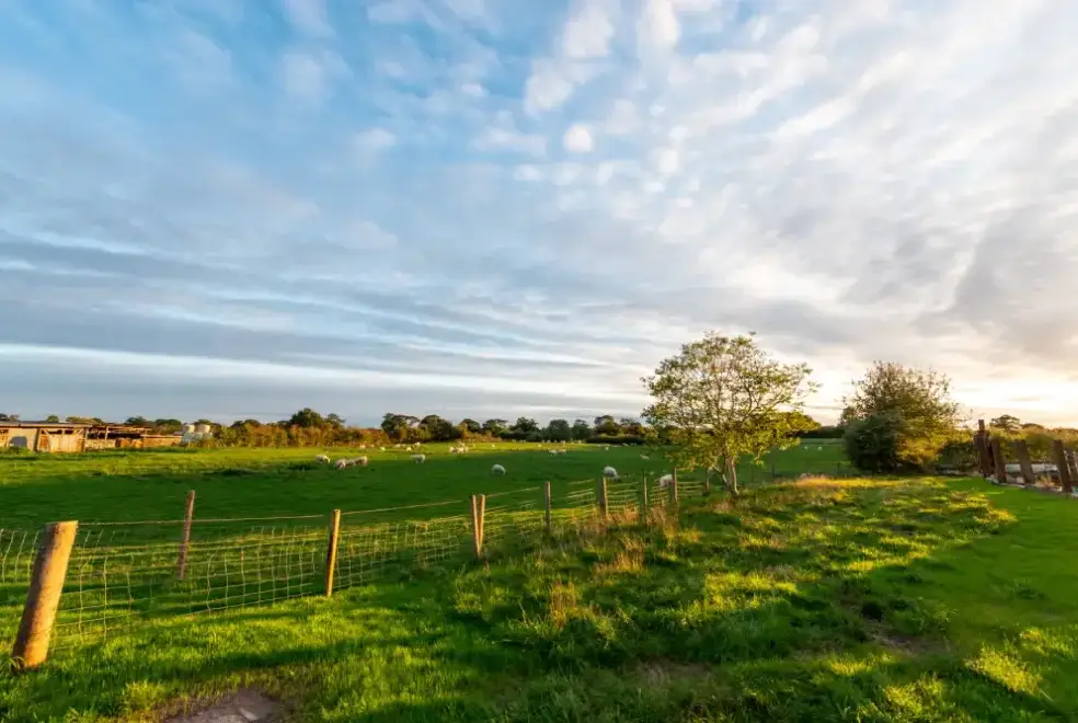 Countryside views at Hollies Barn