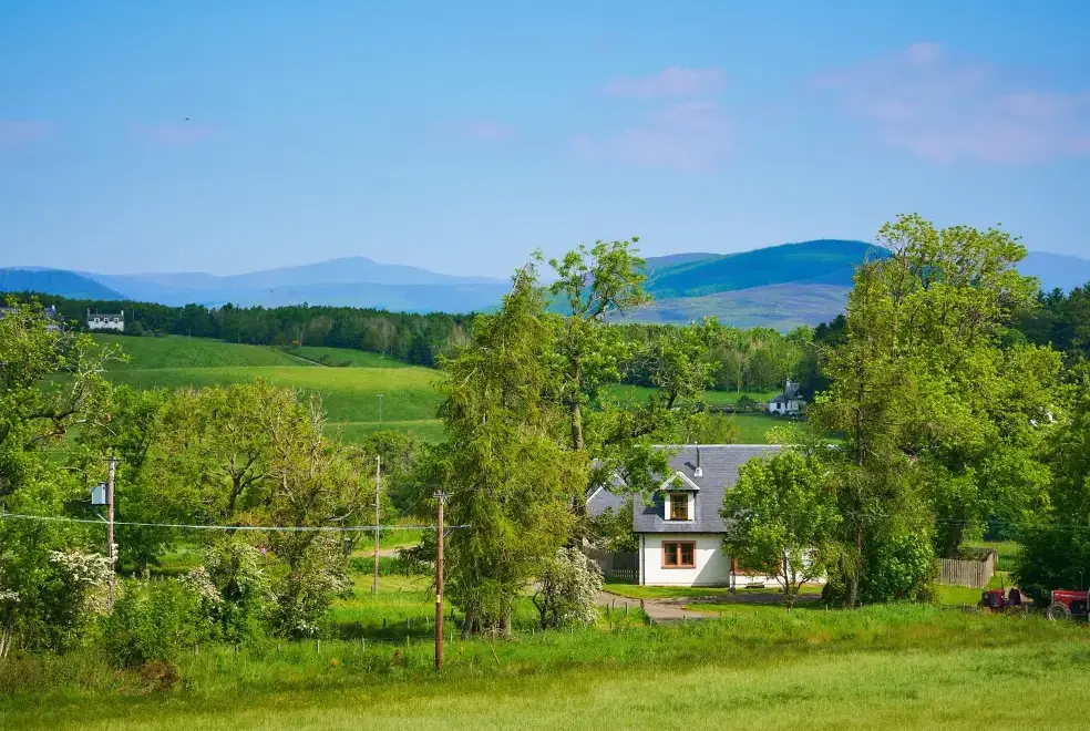 Countryside near Holly House
