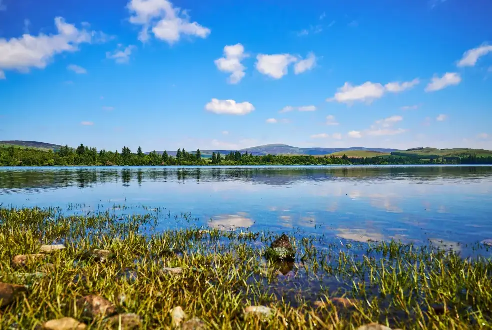 Lake view at Holly House