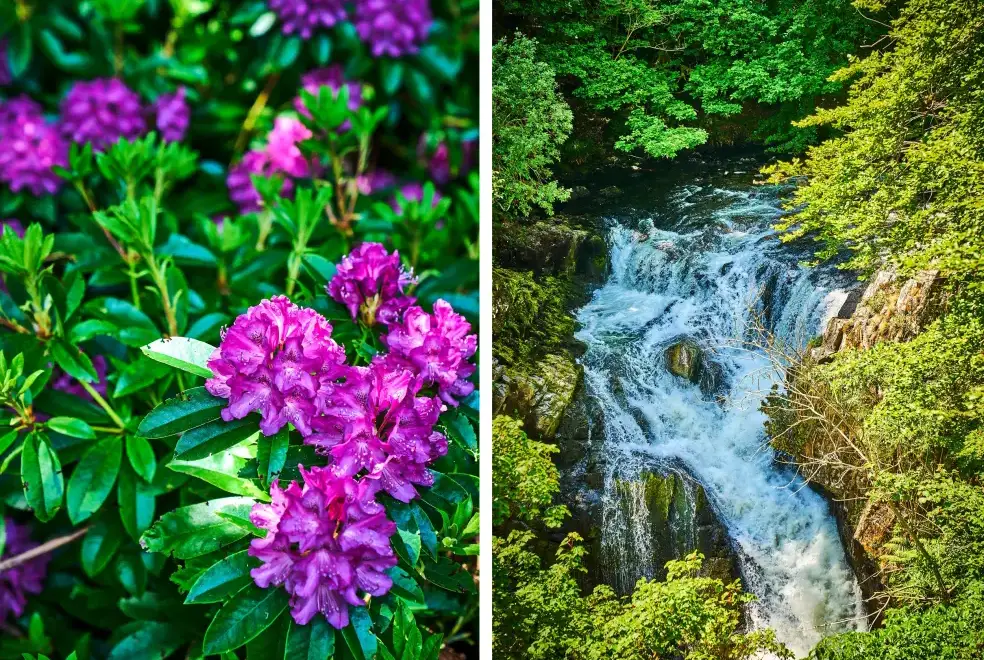 Countryside near Holly House