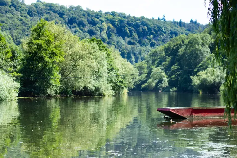 Lake view at Holly Tree House