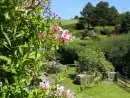 Honeysuckle, dog friendly couples' cottage in South Devon - thumbnail photo 3