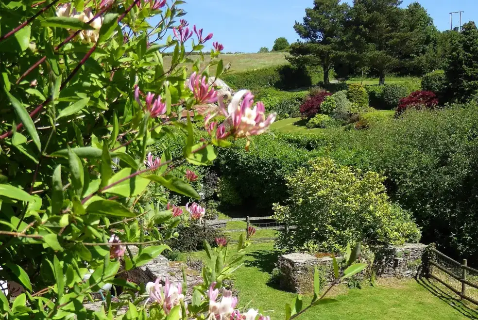 Garden at Honeysuckle, dog friendly couples' cottage in South Devon