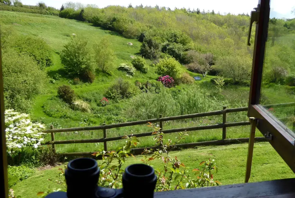 Countryside views at Honeysuckle, dog friendly couples' cottage in South Devon