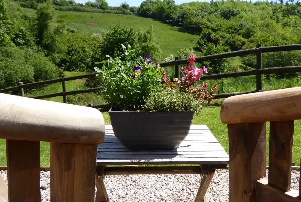 Countryside views at Honeysuckle, dog friendly couples' cottage in South Devon