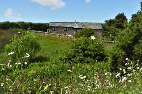 Honeysuckle, dog friendly couples' cottage in South Devon - Photo 1