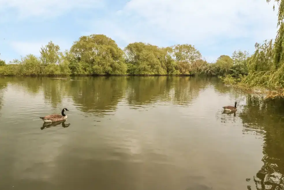 Lake view at Island Yurt Glamping Holiday, Cotswolds