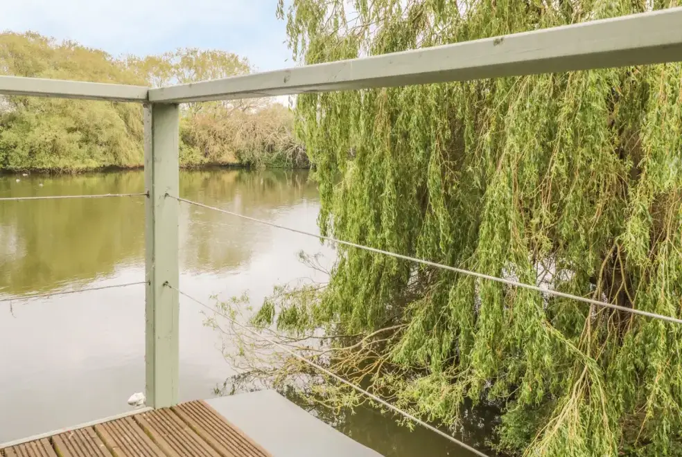 Lake view at Island Yurt Glamping Holiday, Cotswolds