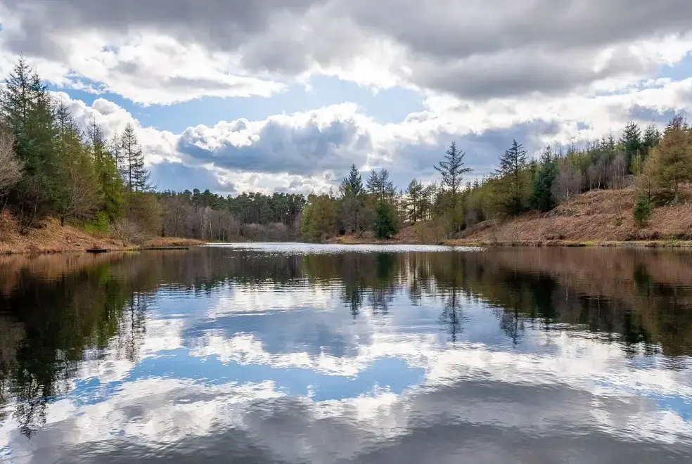 Lake view at Keepers Cottage