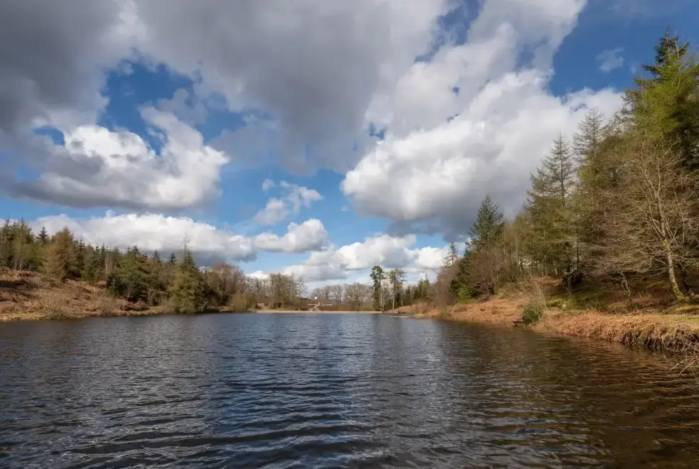 Lake view at Keepers Cottage