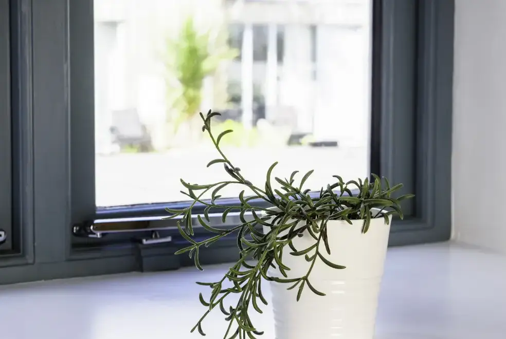 Kerensa, from the outside