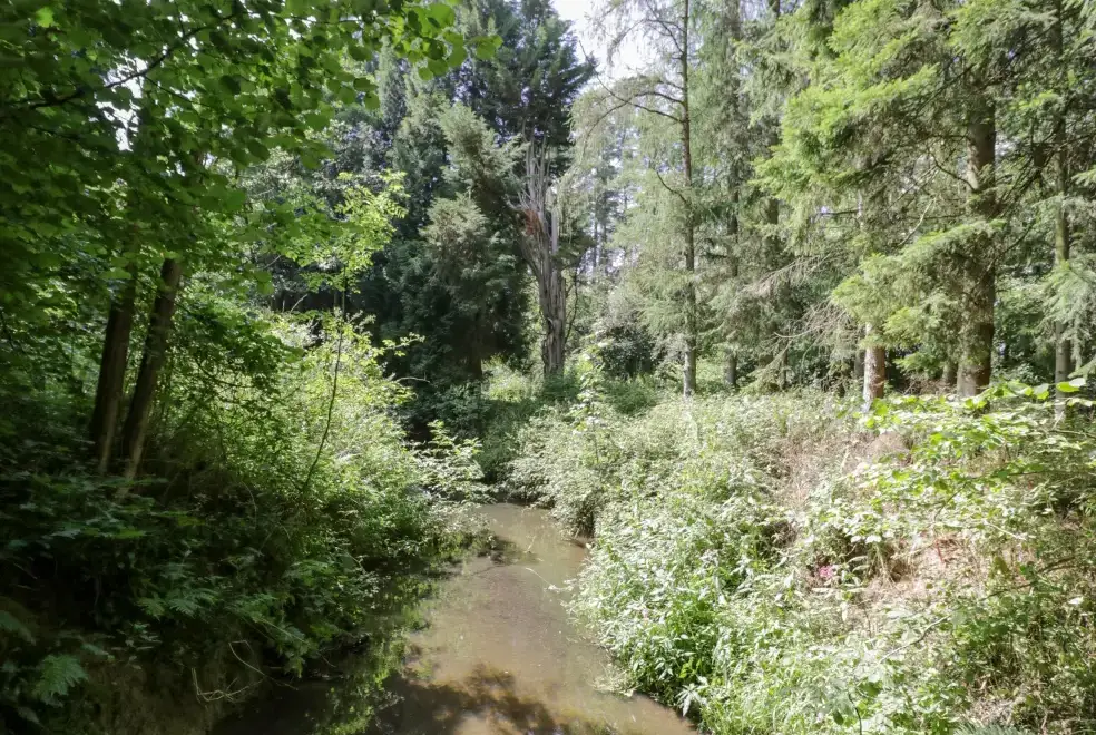 Countryside views at Kite's Nest