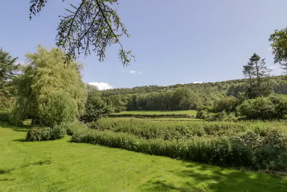 Countryside views at Kite's Nest