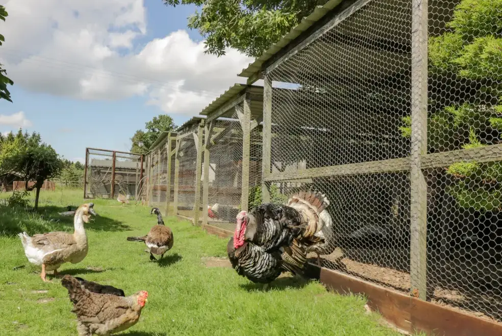 Surrounding area near Kite's Nest