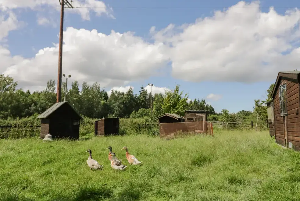 Countryside near Kite's Nest