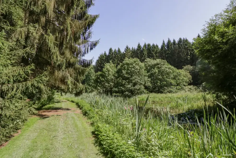Countryside views at Kite's Nest