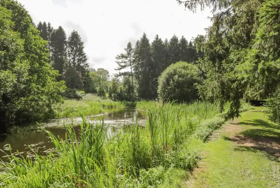 Countryside near Kite's Nest