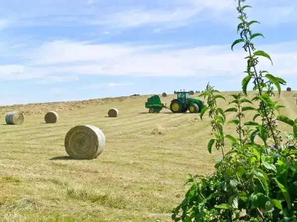 Countryside views at Kitty's Loft Self-catering Cottage, Godshill, South Coast 