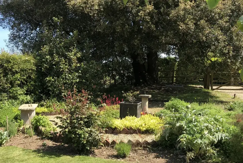 Garden at Kitty's Loft Self-catering Cottage, Godshill, South Coast 