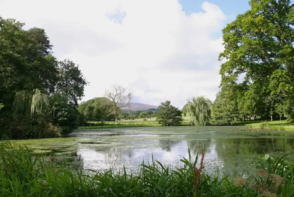 Countryside views at Knowle Manor
