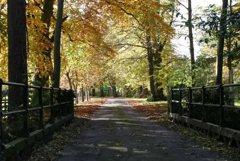 Countryside near Knowle Manor