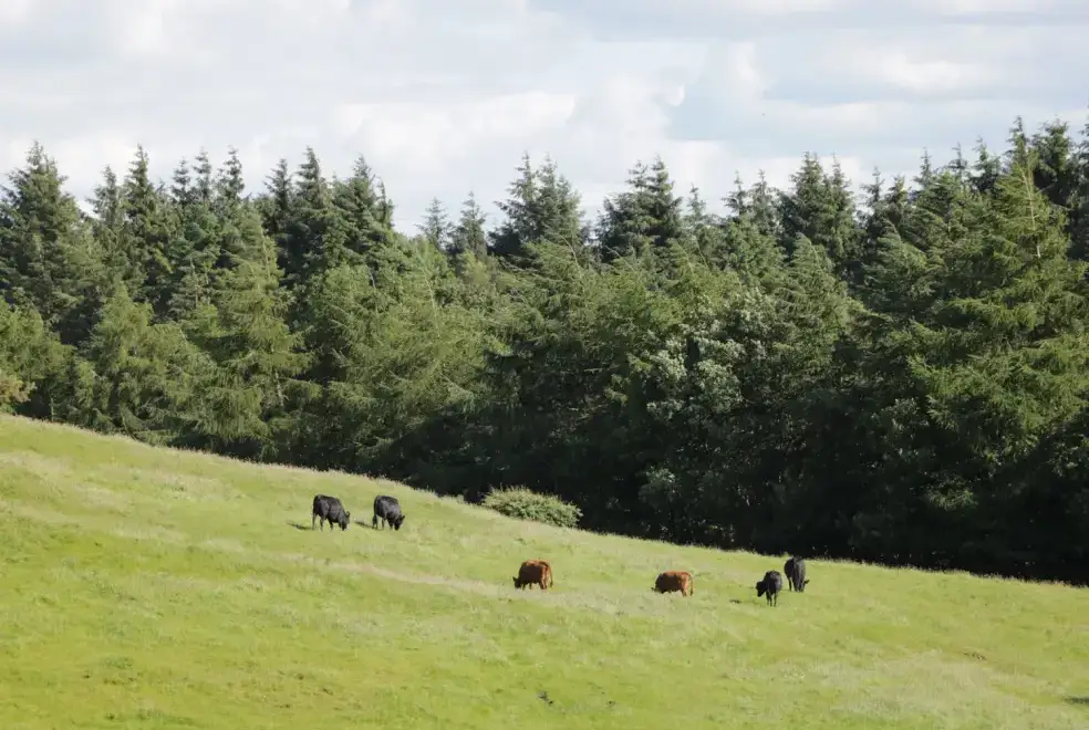 Countryside near Lake Farm Cottage