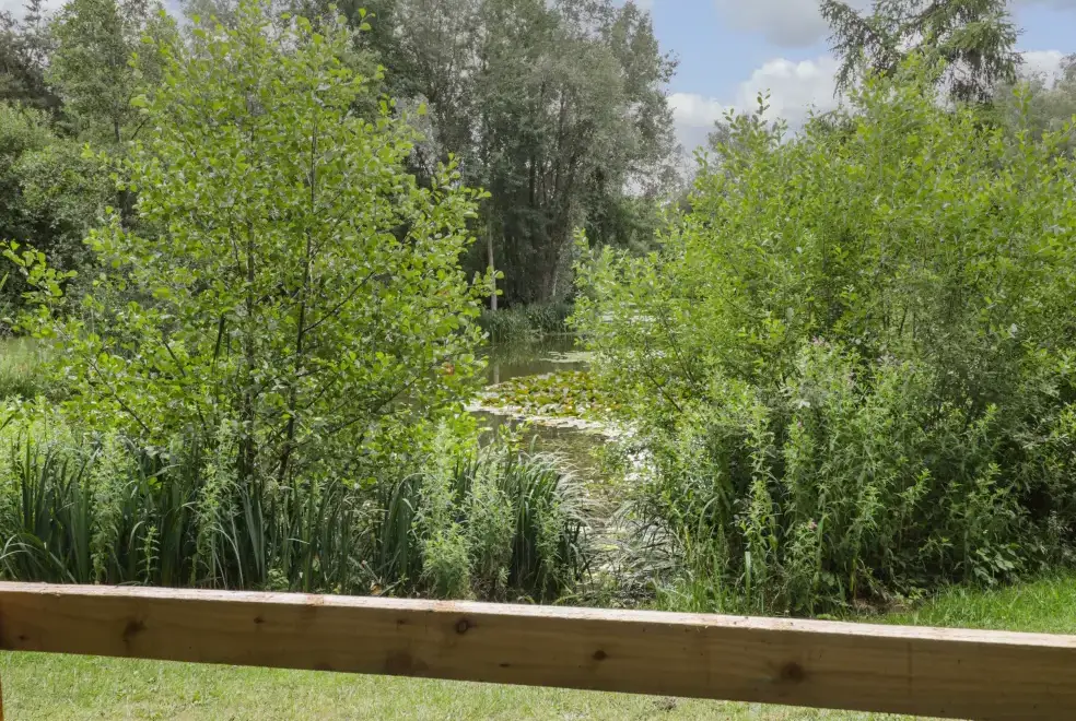 Countryside views at Lake View Lodge