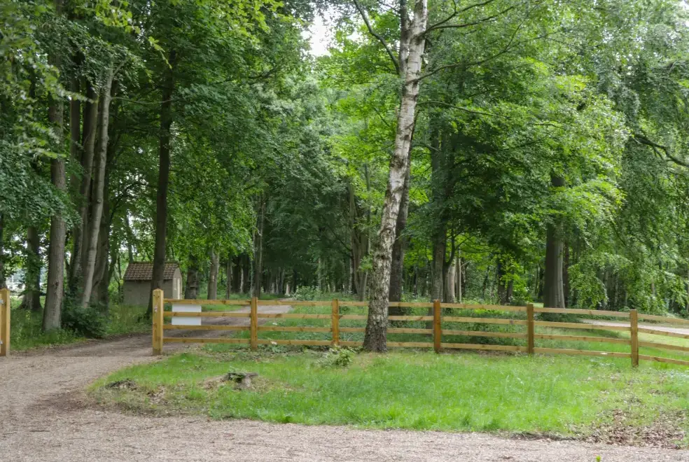 Countryside near Lake View Lodge