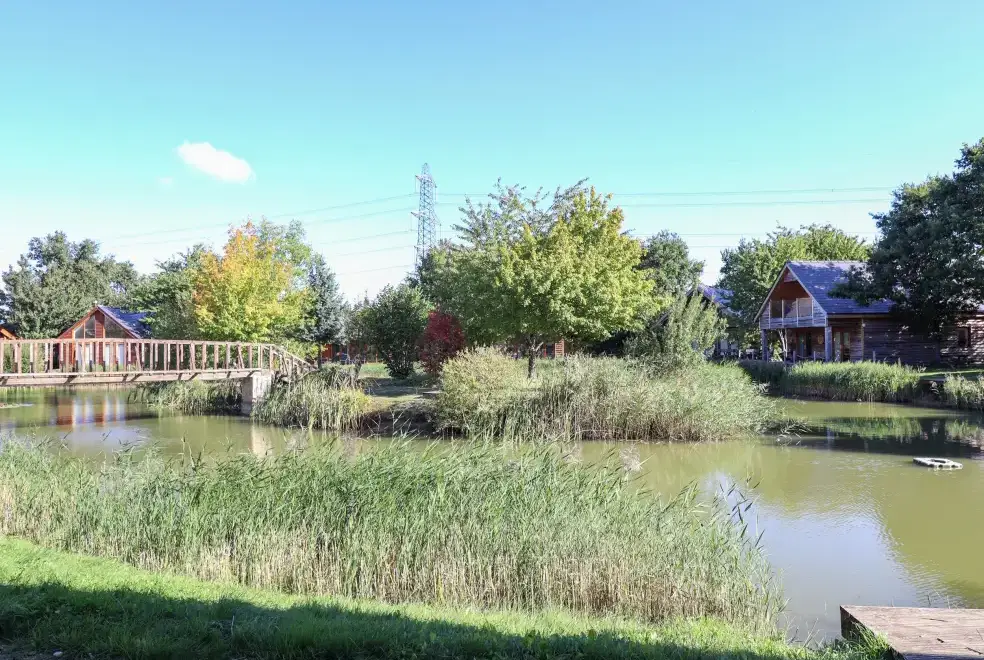 Lake view at Lake View Lodge