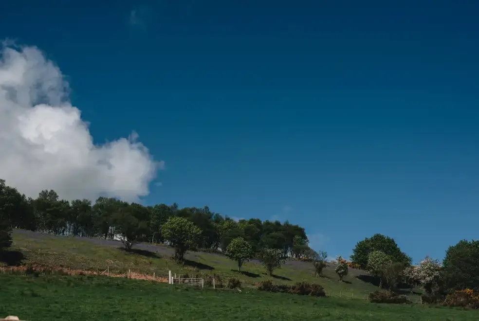 Countryside views at Lamb Cottage