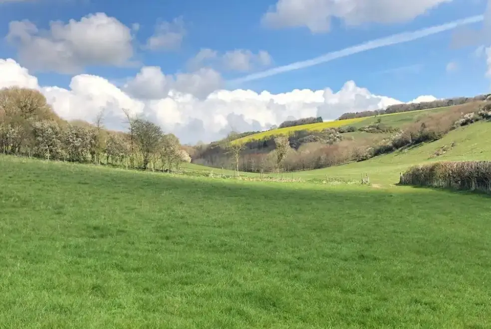 Countryside views at Langford Valley Barn