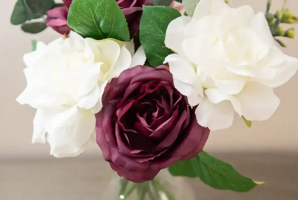 Garden at Langford Valley Stables