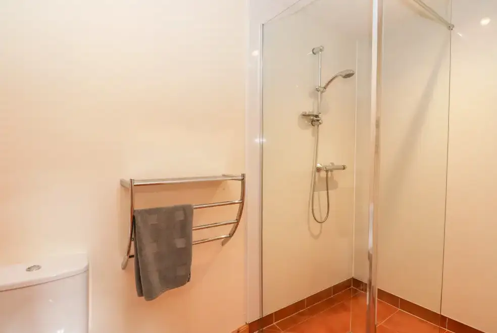 Shower room at Larch Cottage