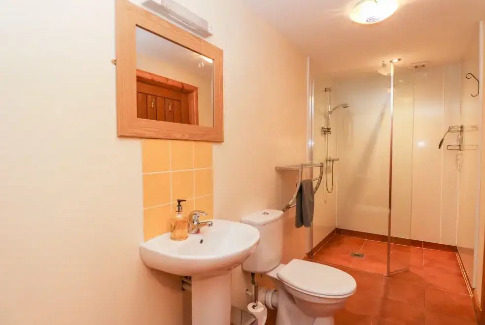 Shower room at Larch Cottage