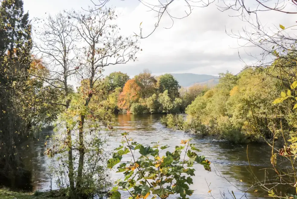 Countryside views at Larch Cottage
