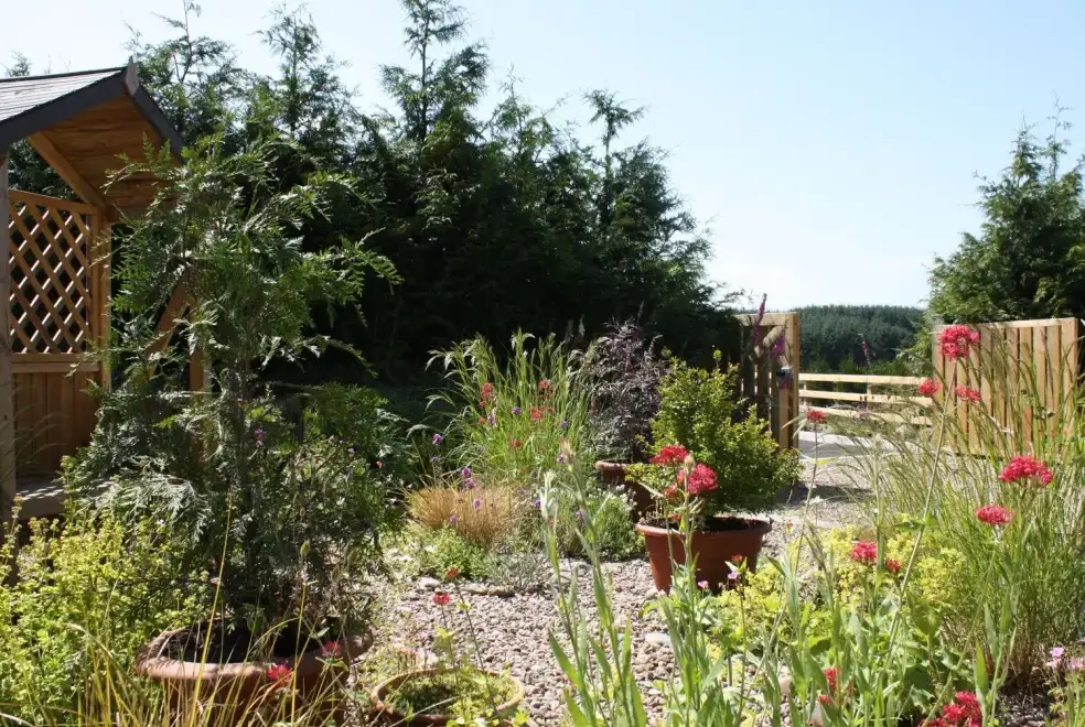 Garden at Larchwood Lodge