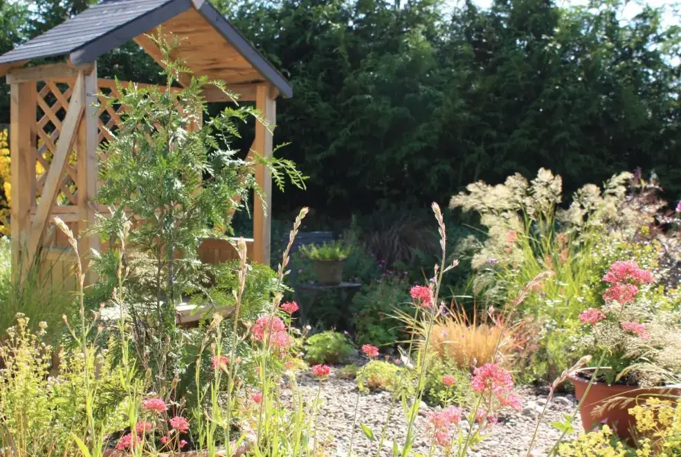Garden at Larchwood Lodge