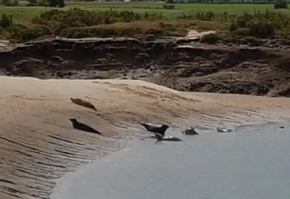 Coastal scenes near Lavenders