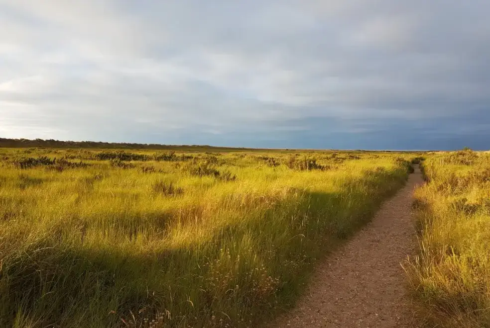 Countryside near Lavenders