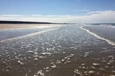 Coastal scenes near Lavenders, Norfolk