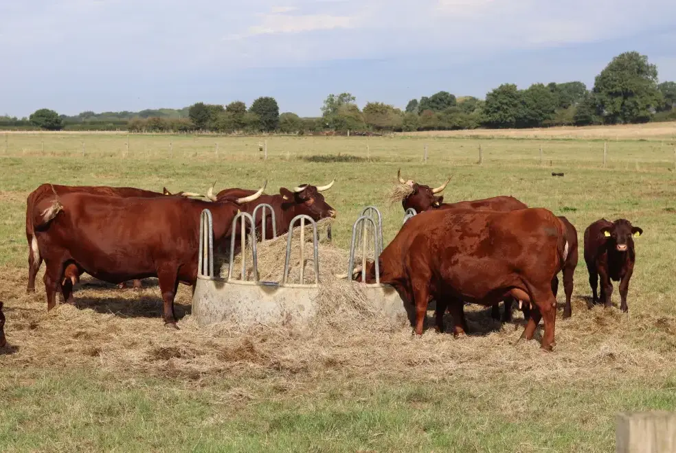 Countryside views at Leafield House @ Nables Farm