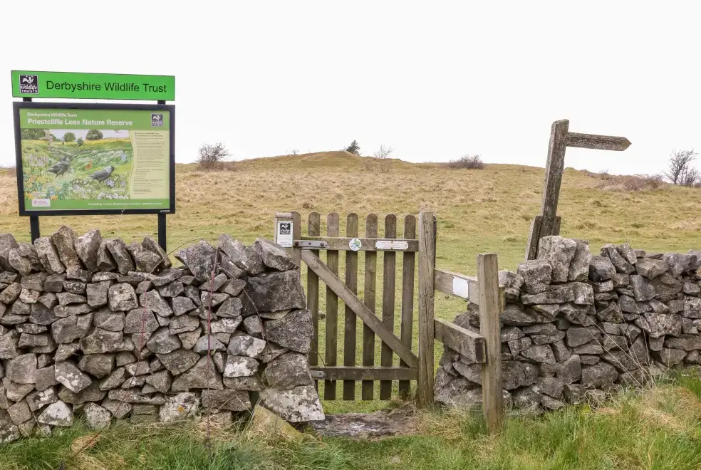 Countryside near Lees Farm