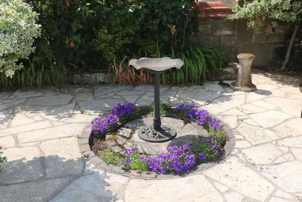 Garden at Leigh Holt