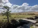 Good walks near Lingcombe Barn in Dartmoor - thumbnail photo