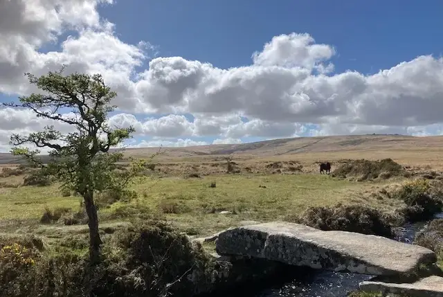 Good walks near Lingcombe Barn in Dartmoor