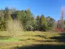 Countryside views at Lingcombe Barn in Dartmoor - thumbnail photo
