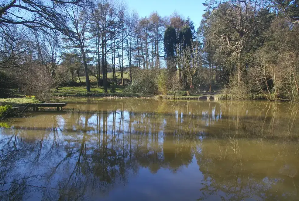 Lake view at Lingcombe Barn in Dartmoor