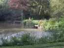 Countryside views at Lingcombe Barn in Dartmoor - thumbnail photo