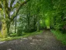 Countryside near Lingcombe Barn in Dartmoor - thumbnail photo